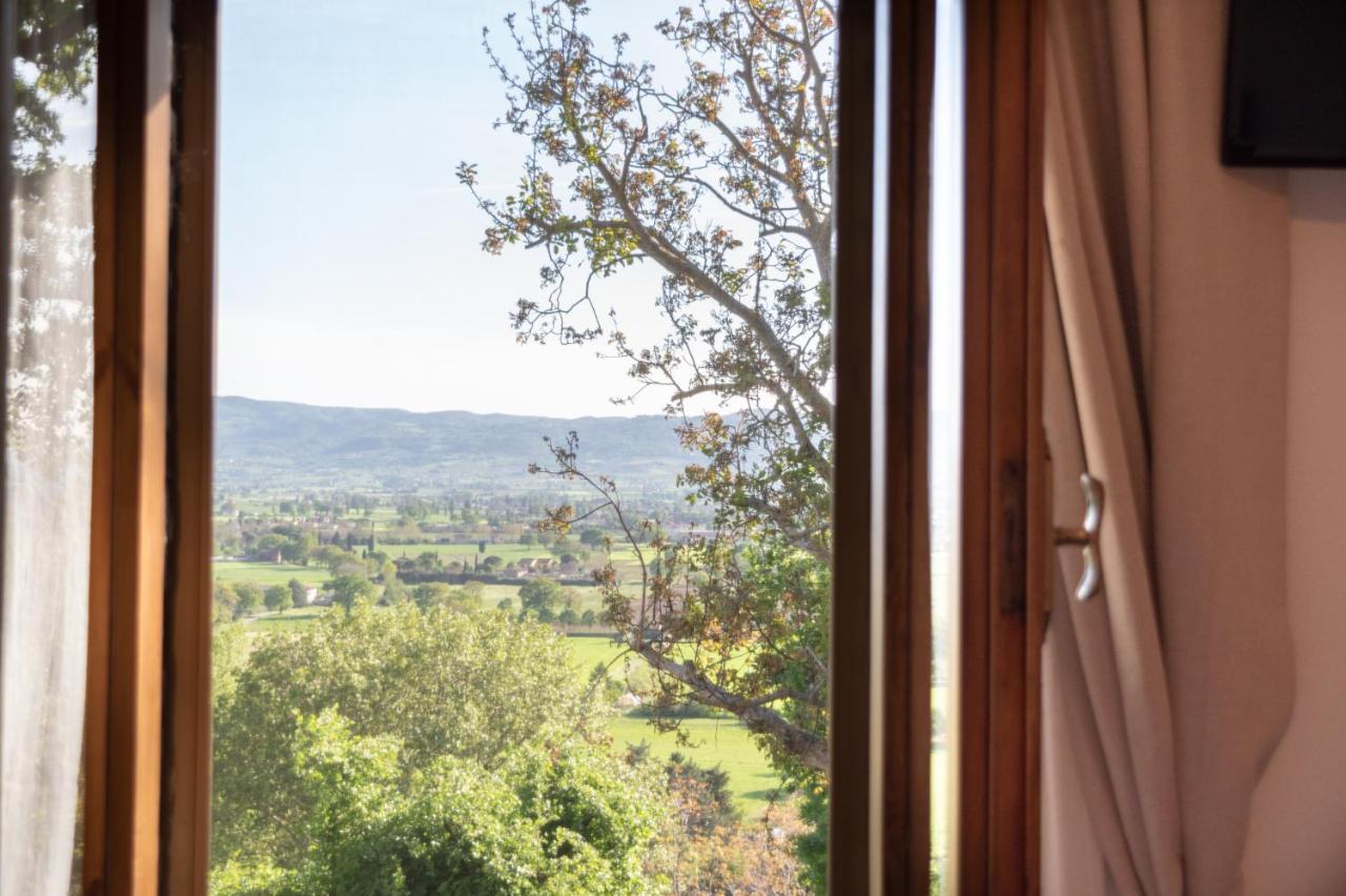 B&B Cantico Delle Creature Assisi Dış mekan fotoğraf