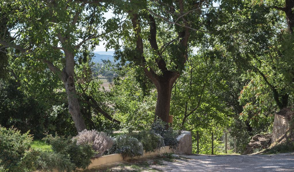 B&B Cantico Delle Creature Assisi Dış mekan fotoğraf