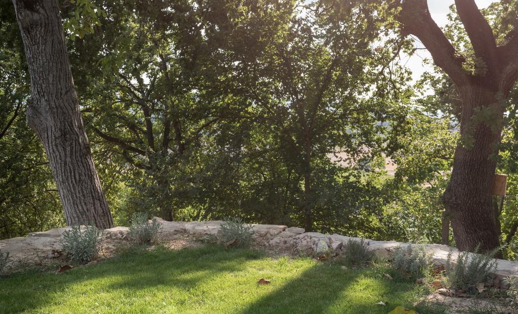 B&B Cantico Delle Creature Assisi Dış mekan fotoğraf