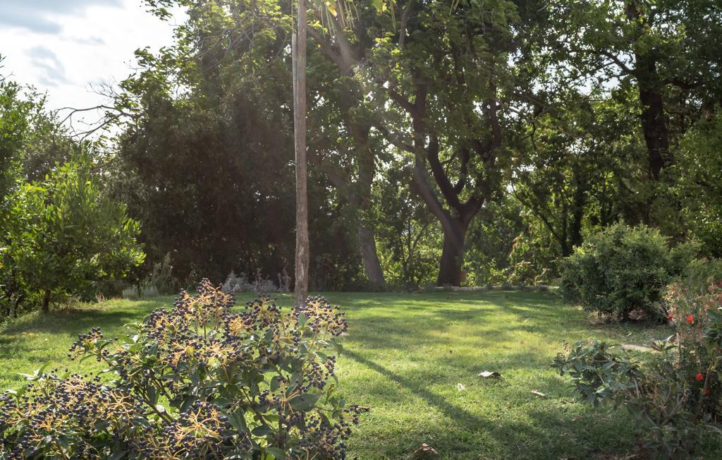 B&B Cantico Delle Creature Assisi Dış mekan fotoğraf