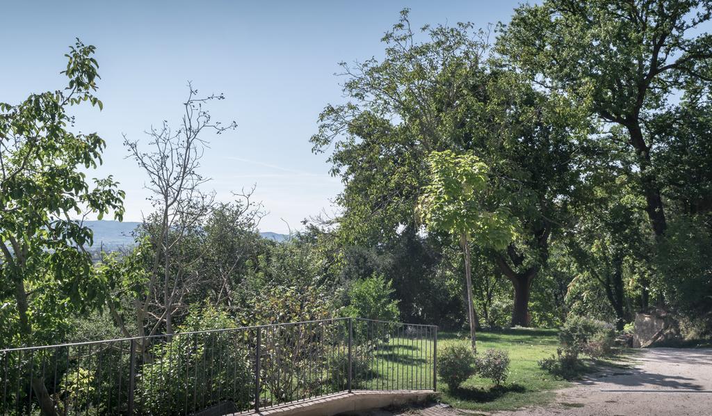 B&B Cantico Delle Creature Assisi Dış mekan fotoğraf