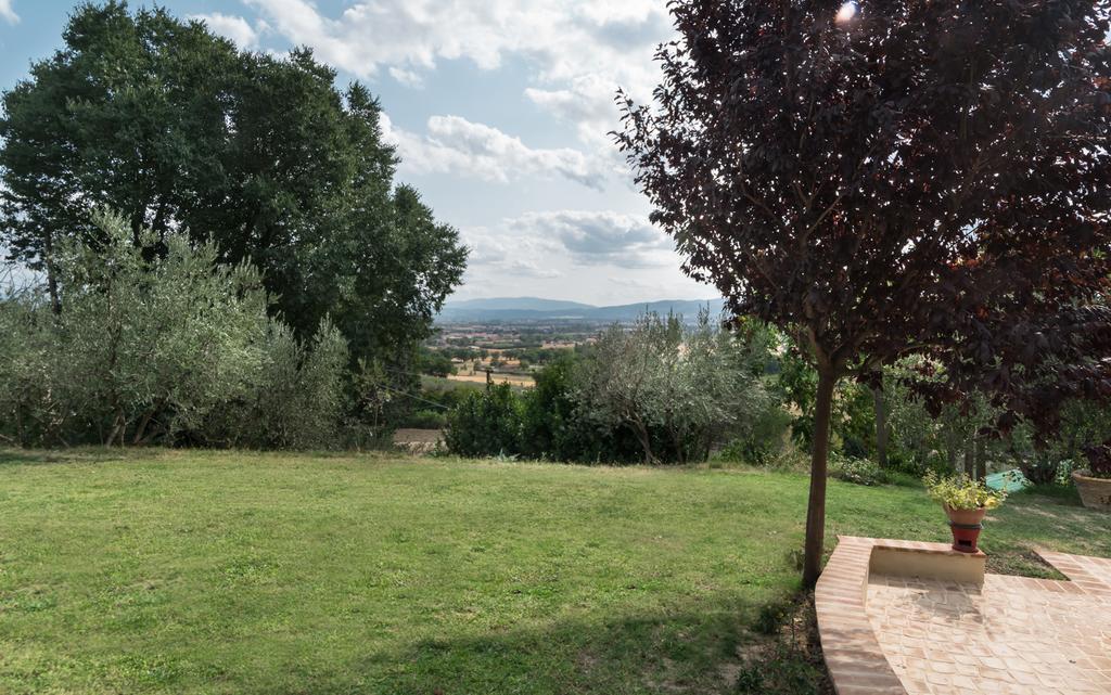 B&B Cantico Delle Creature Assisi Dış mekan fotoğraf